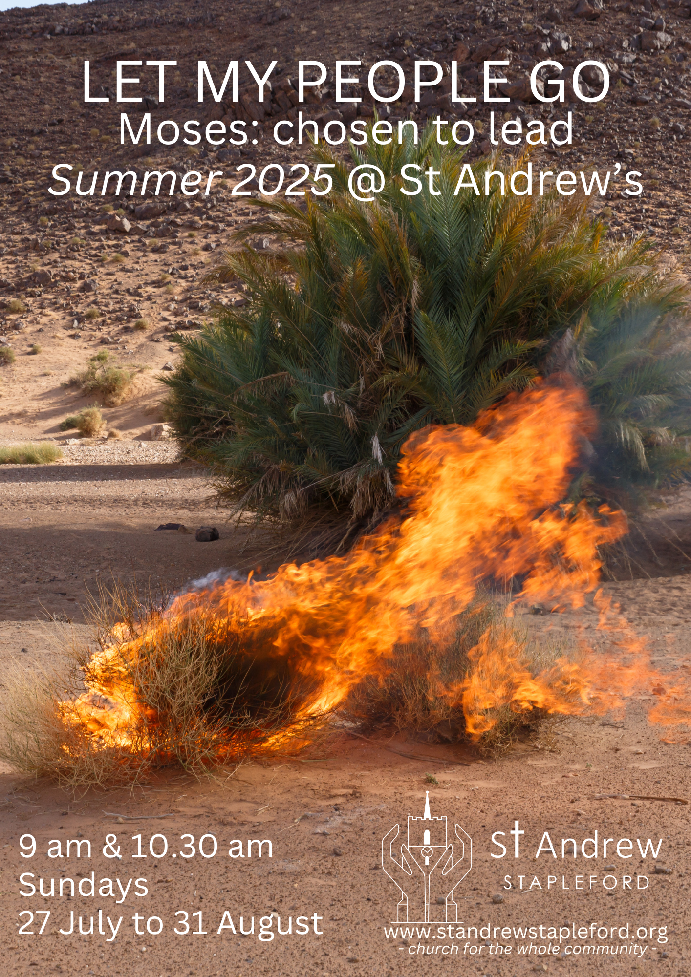Summer 2025  - Moses